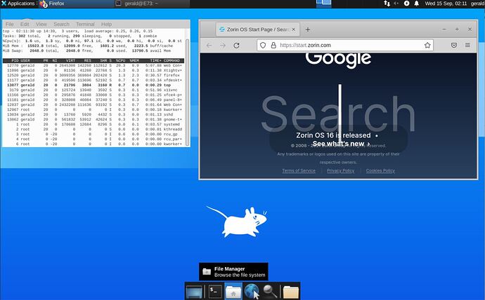 2021-09-15 - Zorin-16-vnc