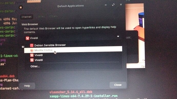 default browser error
