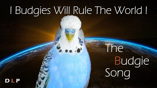 budgie-rules