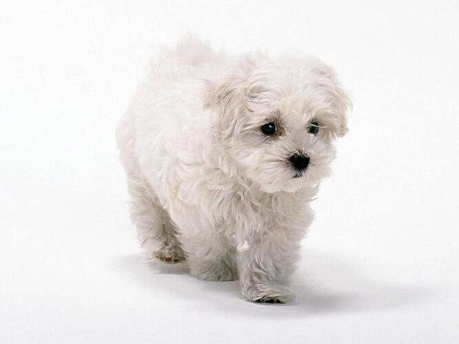 lovewallpaper3