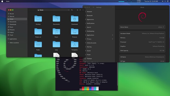 Debian 11.x 64-bit-2023-06-13-11-43-58