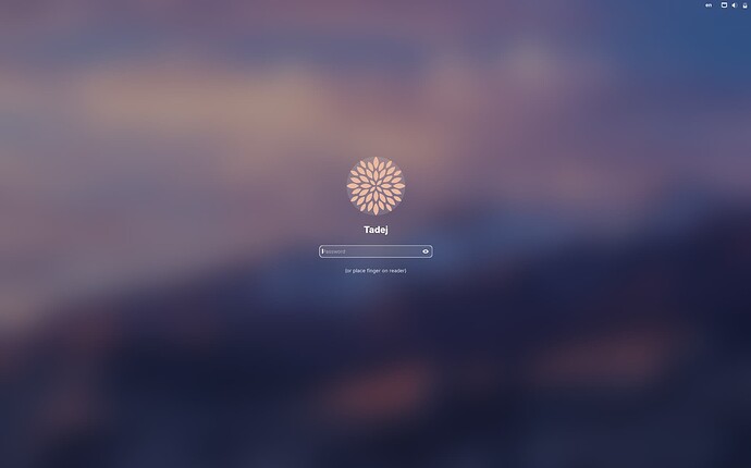 Screenshot from 2026-02-21 08-08-17