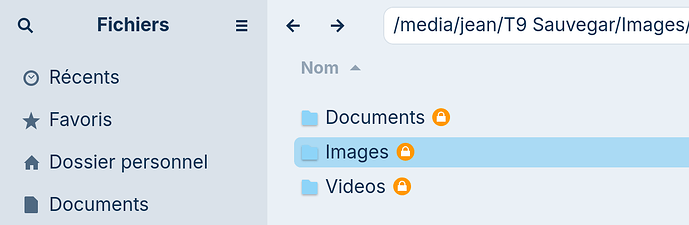 Capture d’écran du 2025-10-26 21-35-45
