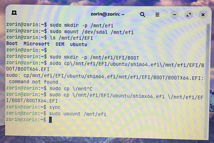 Zorin Mount Partition