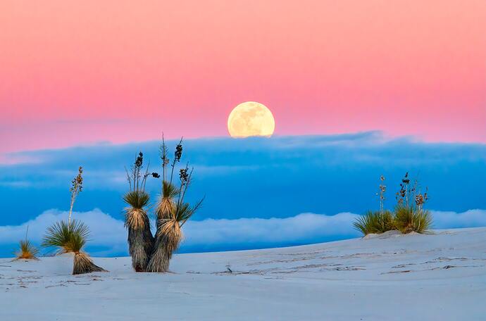 john-fowler-aaIN3y2zcMQ-unsplash