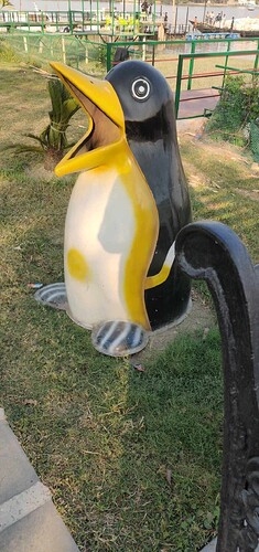 IMG_8047