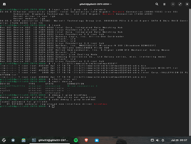 sudo dmesg attempt