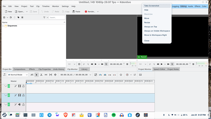 Screenshot from 2025-01-31 21-37-20