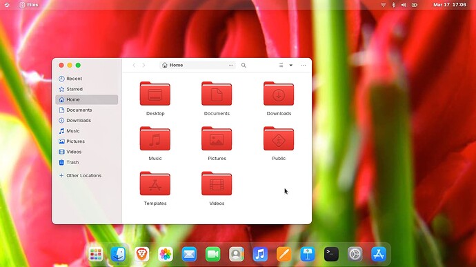 Screenshot from 2026-03-17 17-06-07