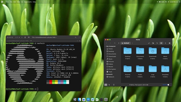 Snapshot_2023-10-24_12-04-42