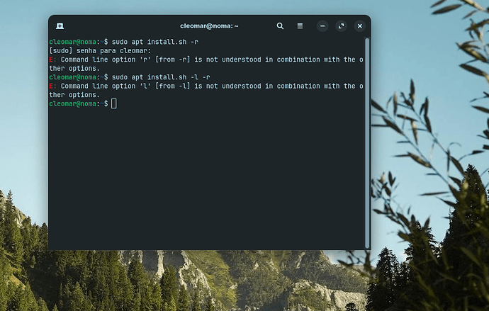 Captura de tela de 2025-08-14 10-36-02
