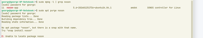 Noson apt dpkg & purge