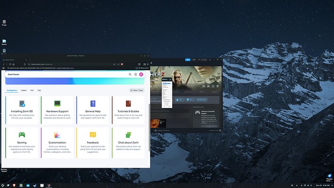Screenshot witcher settings
