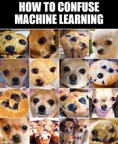479710310_1072272651581605_8187521539034567853_n