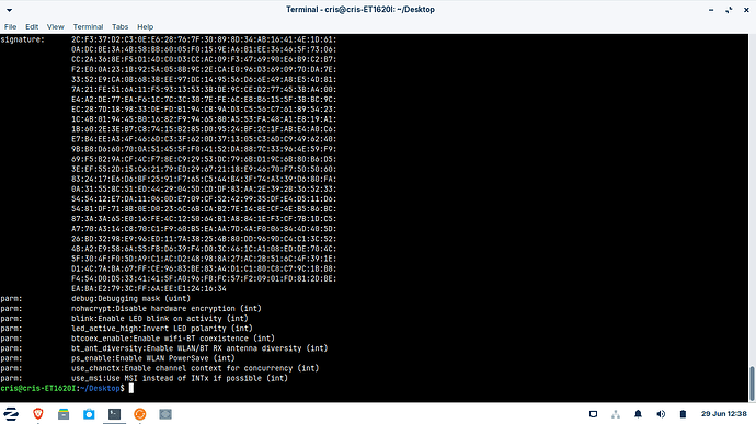 Screenshot_2025-06-29_12-39-01