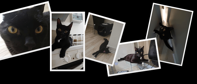 449192469_3619965031667348_2446062012121884831_n