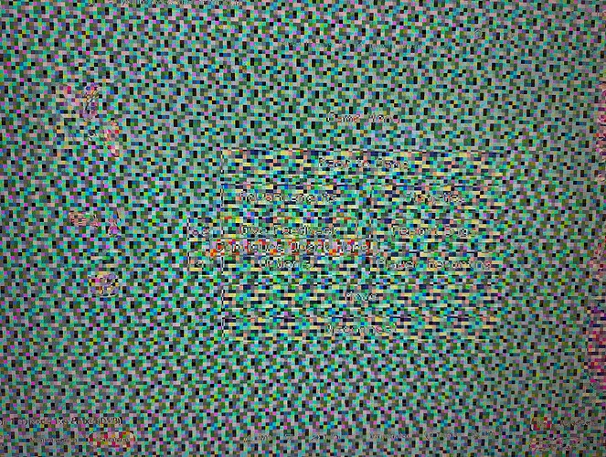 1000018686