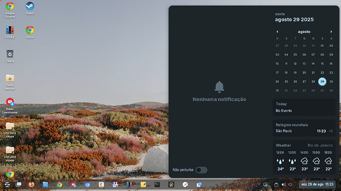 Screenshot from 2025-08-29 11-23-29