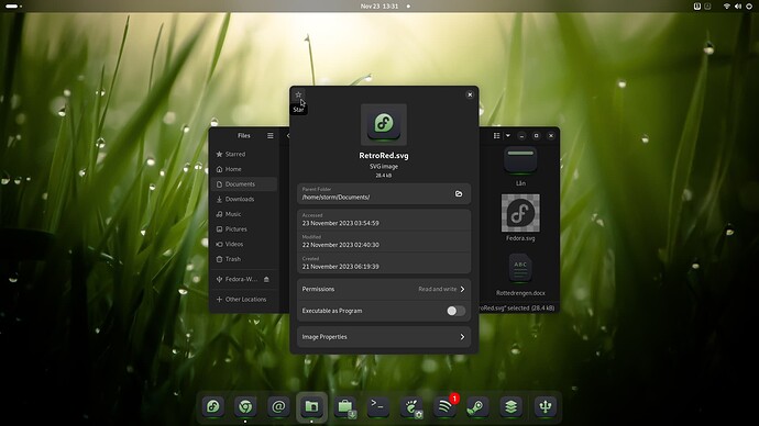 Screenshot from 2023-11-23 13-32-03