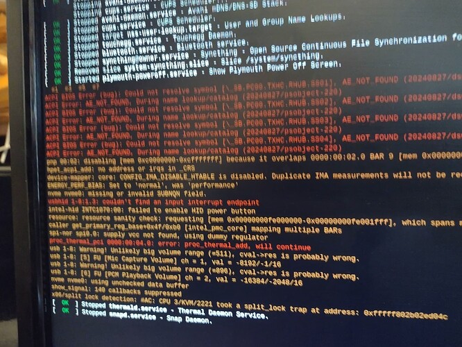 IMG_20260129_133355551