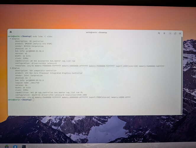 PXL_20250319_171748013