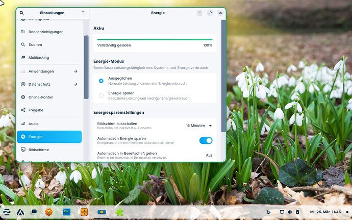 Bildschirmfoto vom 2026-03-25 11-45-23