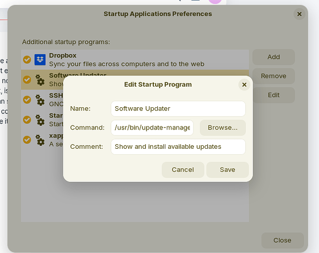 Auto Start Software Updater