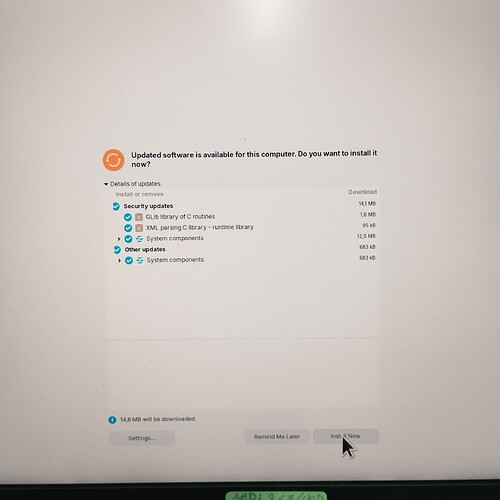 1000069252