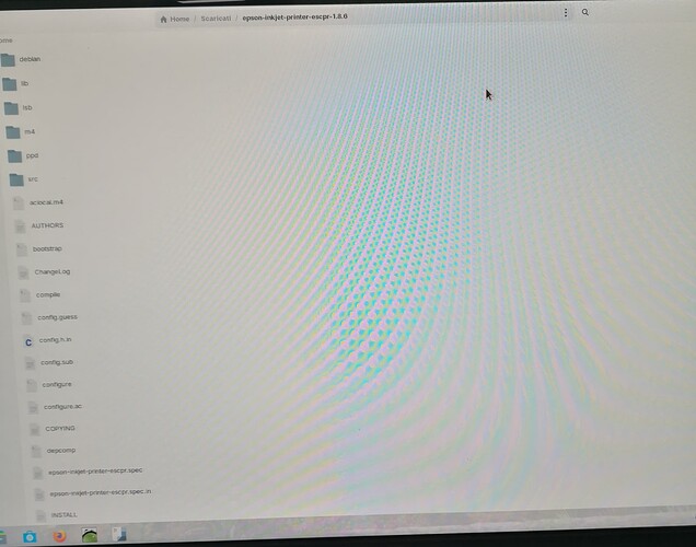 IMG_20251030_112336_edit_4593974674298