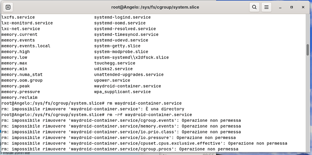 Unable to delete a directory also if root - General Help - Zorin Forum