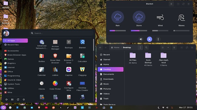 Screenshot from 2025-03-17 20-31-12