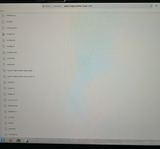 IMG_20251030_112406_edit_4613136319086