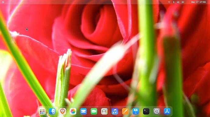 Screenshot from 2026-03-17 17-06-16