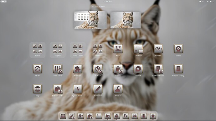 Screenshot From 2025-06-12 08-22-49
