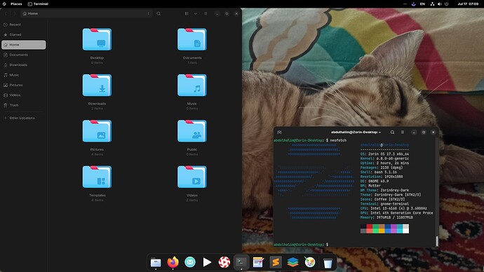 Screenshot from 2025-07-17 07-09-18