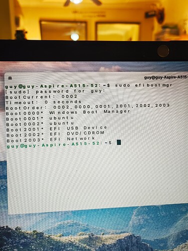 PC Restart - CLI Command - sudo efibootmgr - Boot0001 Not Removed