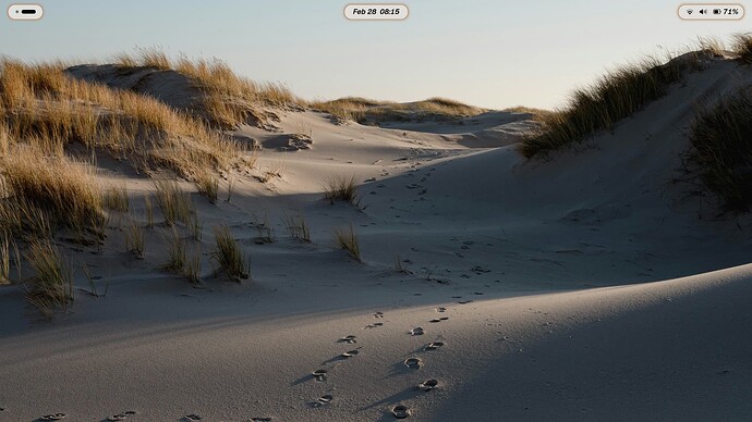 Screenshot From 2026-02-28 08-15-06