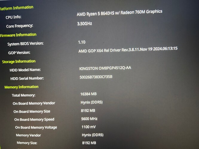 BIOS-AMD-GOP