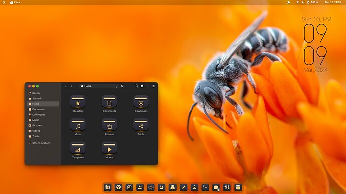 Screenshot from 2024-03-10 21-09-09