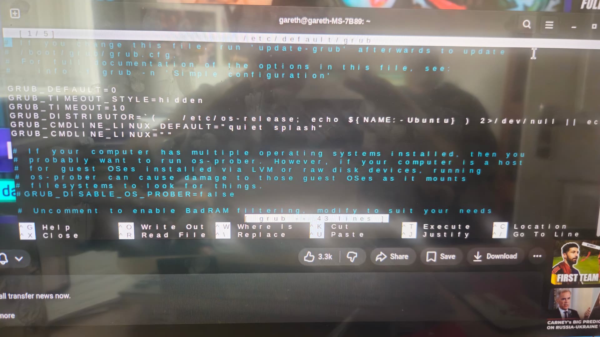 No internet access and strange display - General Help - Zorin Forum