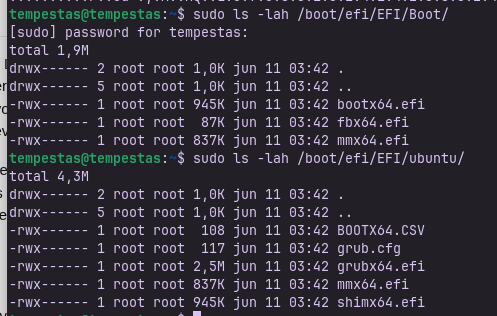 Screenshot from 2025-06-13 19-24-28