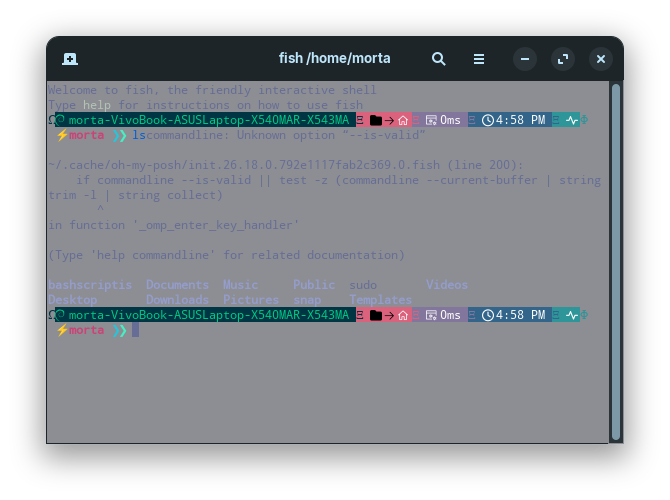 Terminal Initialization Customization Terminal editing - Customization - Zorin Forum