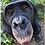 granbonobo