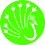 nervus