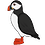Puffin