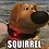 Sparkey70
